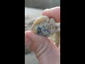 Rockhounding for Agates & Other Gemstones in Alabama