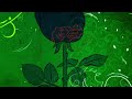 Flower In The Sun-Mercedez Lucke-Benedict - Live Performance Recording
