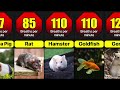 Average Breathing Rate Of Different Animals Per Minute