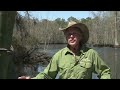 Waccamaw River Tours - Did You Know?