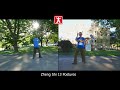 Demonstration of Zheng Shi (Zheng Style) 13 Postures