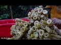 Full Video : 4 Seasons Harvesting Bamboo shoots, Fish, Melons go to the Market Sell - Ana Bushcraft