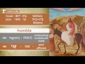 Why Did Jesus Enter Jerusalem Riding a Donkey? - Jerusalem In The Footsteps of Jesus