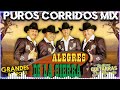 Los Alegres de la Sierra 🎸 Guitarrazos Corridos Y Ranchras 🎸 20 Exitos Musica 🎸 Puros Corridos Mix