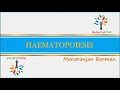 Hemopoiesis physiology।। Formation of blood cells ।। PATHOGENESIS ।। #Barman_Sir