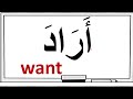 (Intensive Arabic Reading Practice (100  Arabic Verbs For Reading Fluency.