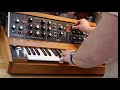 Behringer Poly D vs Minimoog: The definitive comparison, review and demo