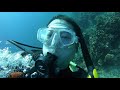 Nassau Bahamas SCUBA Dive Sea Viking Wreck with Stuart Cove's 20191020