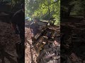 Splitting hickory on the homemade log splitter! #001