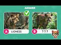 Find the ODD One Out - Animals Edition 🐵🐶🐱 30 Ultimate Easy, Medium, Hard Levels Quiz