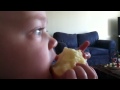 Sammy eats an apple