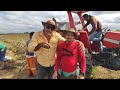 AGRICULTORES DO SERTÃO DO CEARÁ FAZENDO A DEBULHA DE MILHO NO SÍTIO JUREMA, PENAFORTE.