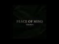 Peace Of Mind Riddim (Instrumental)