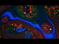 Colourful Liquid Flowing Ambience