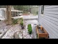 PNW Hail Storm at my Forest Home.
