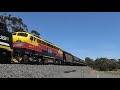 Loaded SSR Broad Gauge Grain Train from Deniliquin - S302, S312 & B75