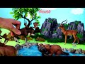 Safari Diorama and Herbivorous Animal Figurines   Learn Animal Names