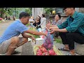Harvest dragon fruit, bring to market to sell, my daily life