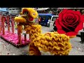 Lion Dance on High Pole Hong Kong Yuen Long , Celebrate Chinese New Year 2024, #cny  @richscenic