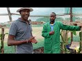 I Quit my job and started farming the most expensive fruit in kenya (Dragon fruit) success story