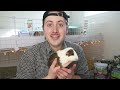 Craigslist Guinea Pig Rescue🚨 FILTHY🤢🦠