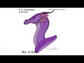 Wings of Fire Character Theme Songs (QUEEN EDITION)