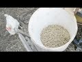 Feed Pellet Machine DIY Pellet Machine - Presa pentru Peleti