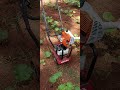 Honda FG110 vs Stihl Kombi