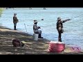 Fishing Shad Sacramento River 2024