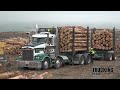 Kenworth T659 Logger in New Zealand