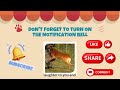 Ace Dog Training With Top Tips! Hilarious Pet Videos That Challenge Your Laughter!