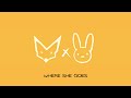 Bad Bunny - WHERE SHE GOES ft. Rauw Alejandro (Official Audio)