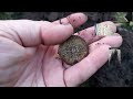 An incredibly windy day, but still managed to find some silver. #coins #metaldetecting #treasure