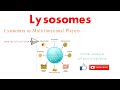 Lysosomes: Structure and Function|| biology|| Cell Biology