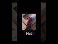 Hat 🤠 #animalvideoclips #cats #tiktok #tiktokvideo #viral #youtubeshorts