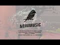 Denis Kaznacheev - Squa Sque Squo (official video by DKey)