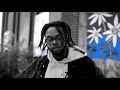 Zeno Waves - Had To Learn (Official Music Video)