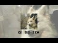 Kill Bill- SZA