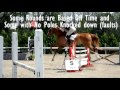 Hunter Vs Jumper | Riding Style & Rules