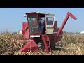 Vintage combines Harvesting Corn at Half Century of Progress Show 2023 | Day 1