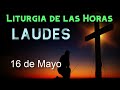 LAUDES de HOY JUEVES 16 de MAYO de 2024 - Liturgia de las Horas | ORACIÓN de la MAÑANA