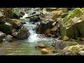 A mountain stream in the spring morning forest for relaxation, background and sleep.
