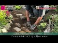 レンガで小道を作る！／涼しい朝早い時間を狙って！【夏のガーデニング】-フローラ黒田園芸- Gardening in summer/gardening