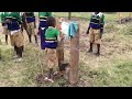Pavlis Honors College Team Tanzania: Initial Handwashing Station Test at Nkwamakuu School