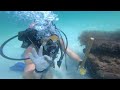 Collecting Marine Aquarium Fish - Park East - Pensacola Beach Scuba Diving