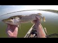 Chatterbait Fishing Roadside Pike!