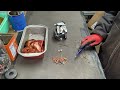 How to Scrap Small Motors for Copper