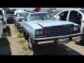 1980 Ford Pinto Junk yard find rusty gold this one could have been saved but unfortunately last stop