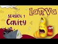 A Grade Star  - Comics | Larva Cartoon - Mini cartoon Movie | LARVA Official.