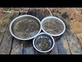 Supplying domestic water - Going to the pond with the family to catch fish (Episode 4)